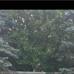 Meet your Posher, Valerija